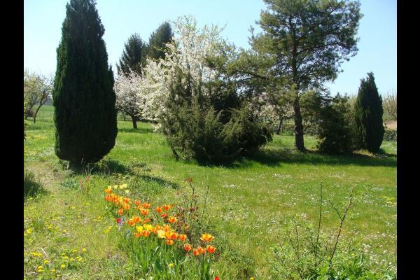 La Cerisaie Villa Ferreux ภายนอก รูปภาพ